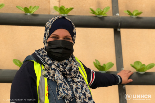 Ezdihar stands in front of a hydroponics system in Azraq Camp.