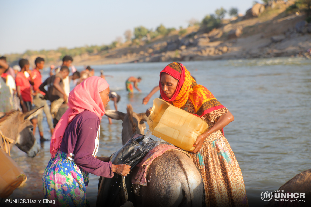 tigray challenges