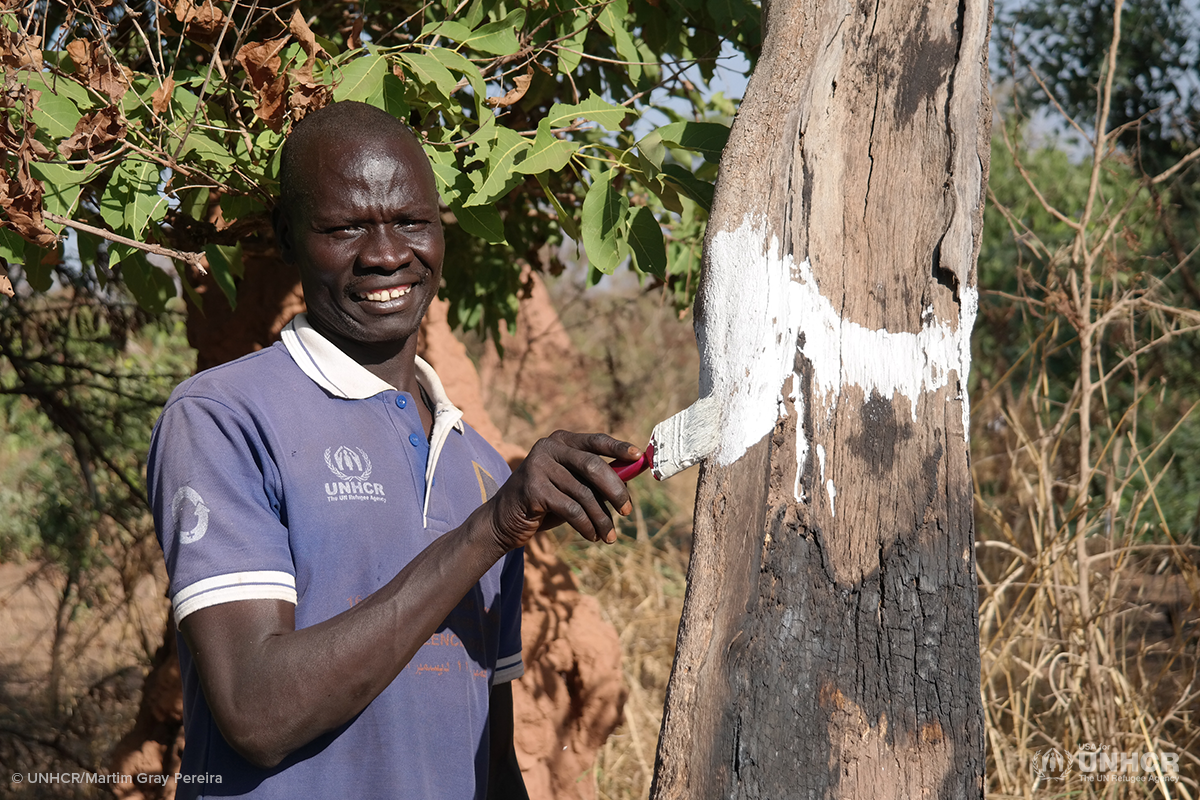 daniel marks trees in his community to protect from logging