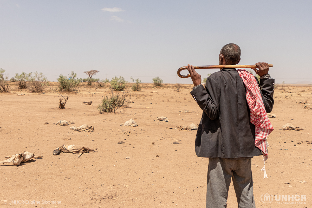 man standing on his farm in Ethiopia