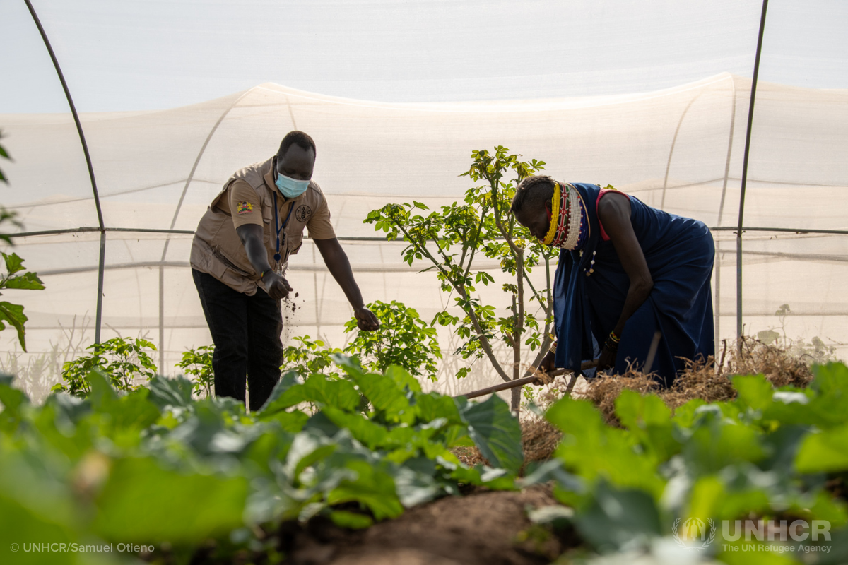 Apak farms in Kenya