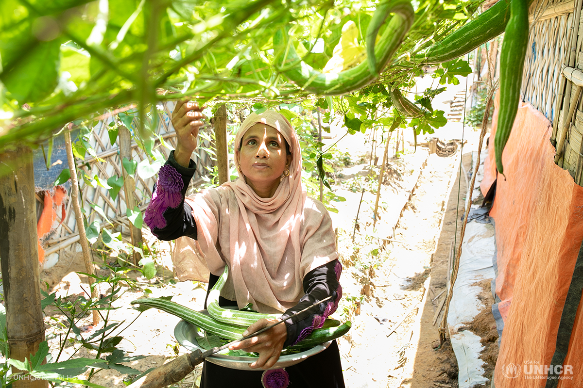 sahera picks vegetables from her garden