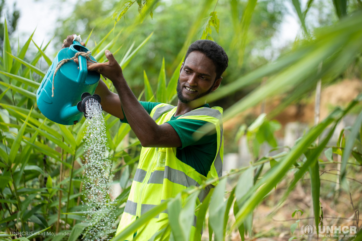 Mohammed ALi, a Rohingya refugee, helping re-green Kutupalong refugee camp